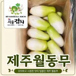 Củ Cải To - 1Kg